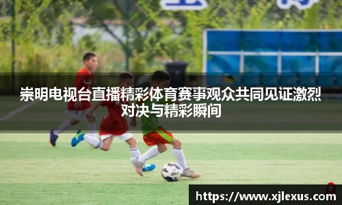 崇明电视台直播精彩体育赛事观众共同见证激烈对决与精彩瞬间