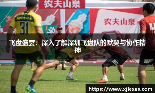 飞盘盛宴：深入了解深圳飞盘队的默契与协作精神