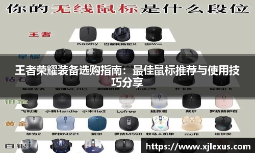 王者荣耀装备选购指南：最佳鼠标推荐与使用技巧分享