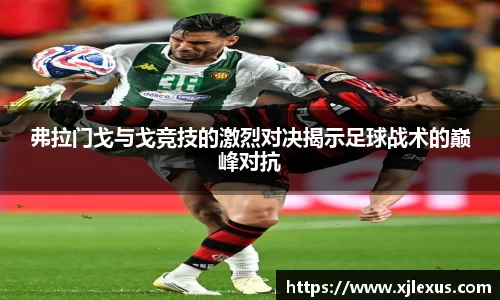 乐鱼体育