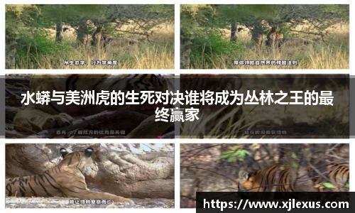 水蟒与美洲虎的生死对决谁将成为丛林之王的最终赢家