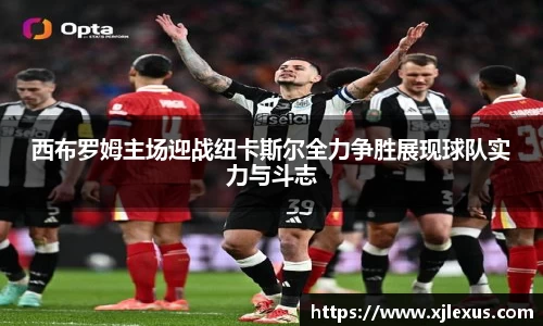 西布罗姆主场迎战纽卡斯尔全力争胜展现球队实力与斗志